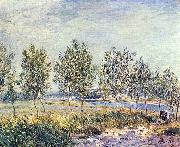 Alfred Sisley Wiese in By oil painting reproduction